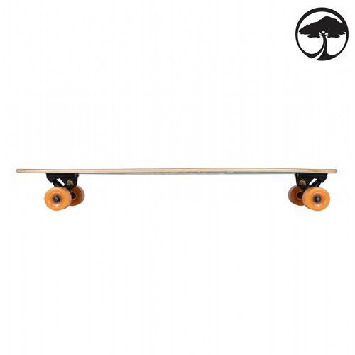 Longboard pintail ARBOR Fish 37 Artist 3