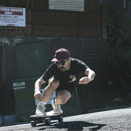 Surfskate LANDYACHTZ Surf Life Birds 31.6"