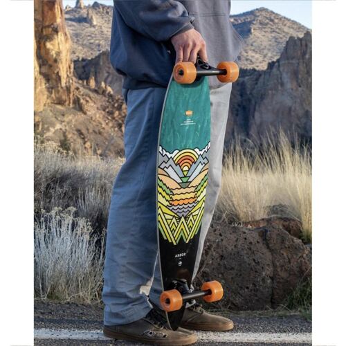 Longboard pintail ARBOR Fish 37 Artist 5
